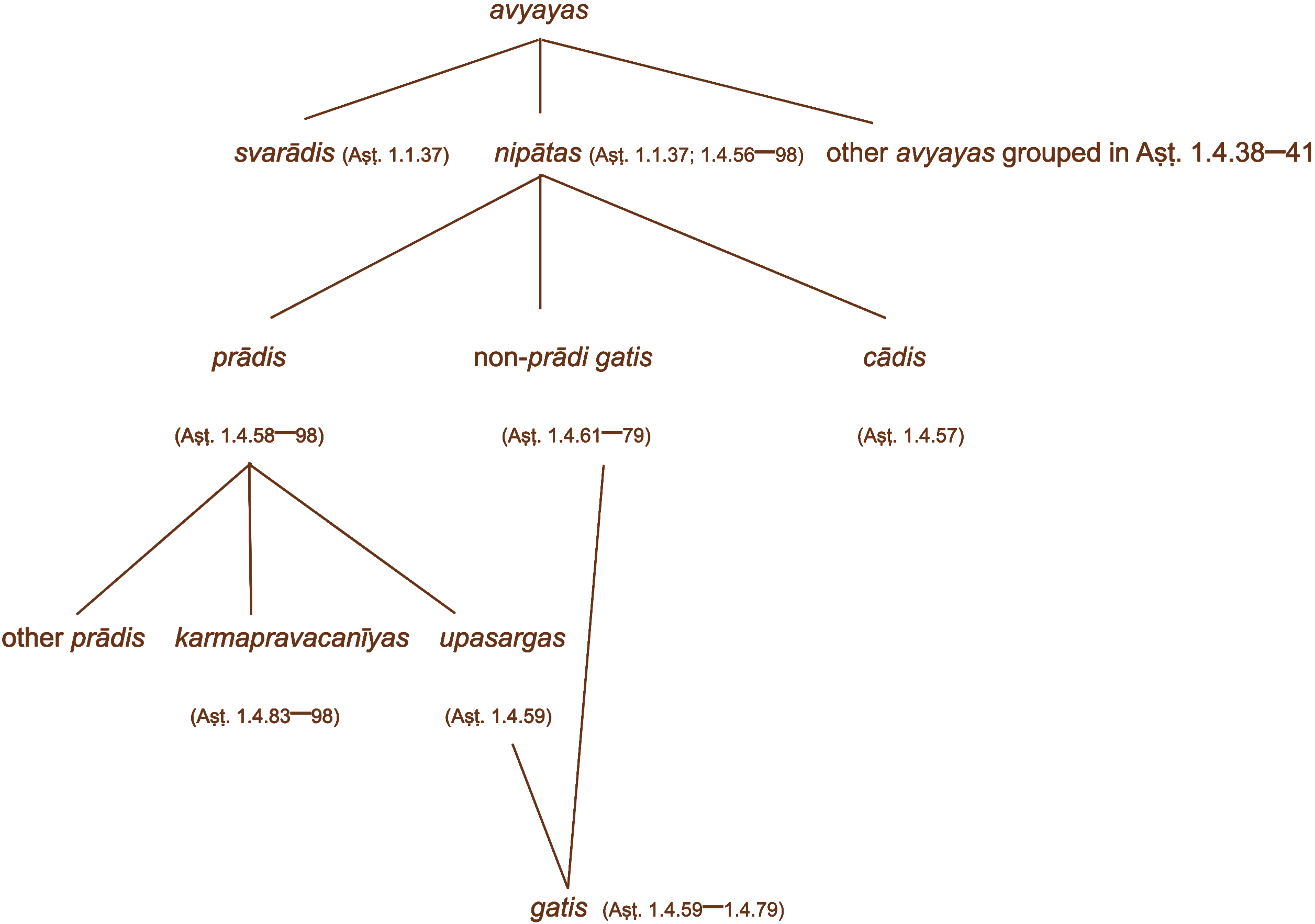 Lexical vs Functional Categories diagram